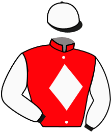 Casaque n°2