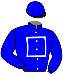 Casaque n°3