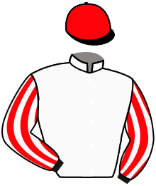 Casaque n°3