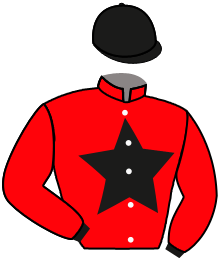 Casaque n°5