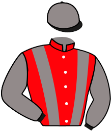 Casaque n°8