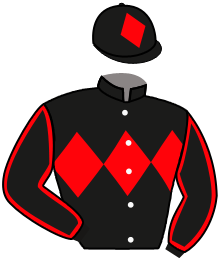 Casaque n°10