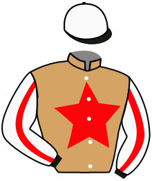 Casaque n°3