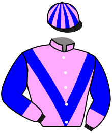 Casaque n°4