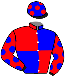 Casaque n°6