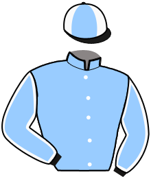 Casaque n°11