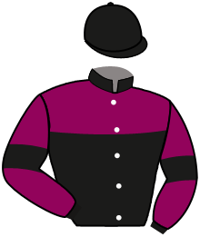 Casaque n°11