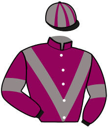 Casaque n°6