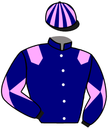 Casaque n°13