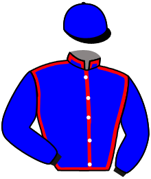 Casaque n°2