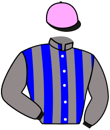 Casaque n°11