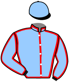 Casaque n°8