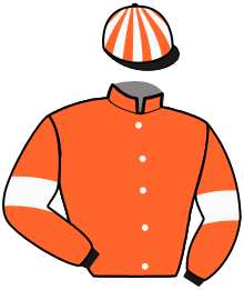 Casaque n°12
