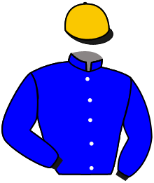 Casaque n°12