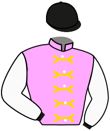 Casaque n°5