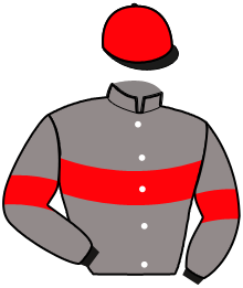 Casaque n°15