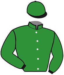 Casaque n°3