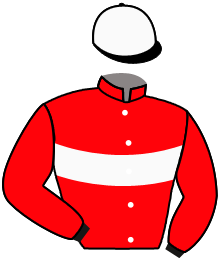 Casaque n°3