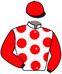 Casaque n°9