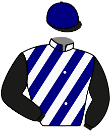 Casaque n°6