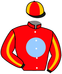 Casaque n°3
