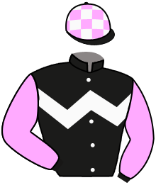Casaque n°6