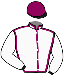 Casaque n°2