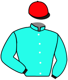 Casaque n°3