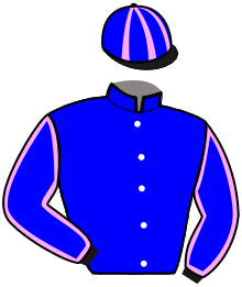 Casaque n°8