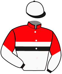 Casaque n°6