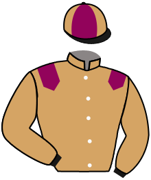 Casaque n°1