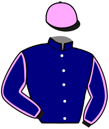 Casaque n°2