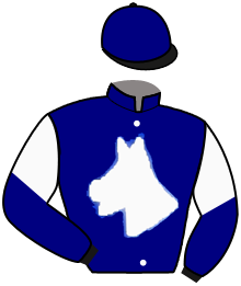 Casaque n°2
