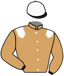 Casaque n°11