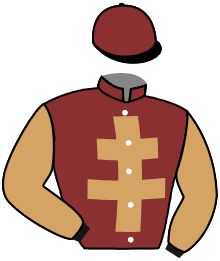 Casaque n°12