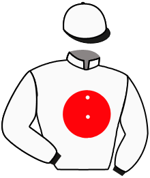 Casaque n°3