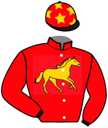 Casaque n°4