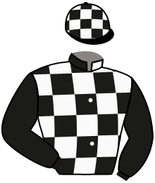Casaque n°13