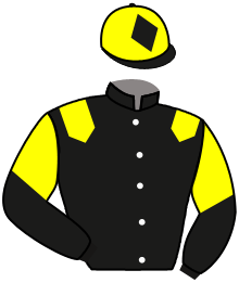 Casaque n°16