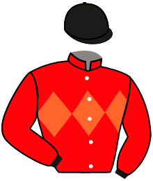 Casaque n°8