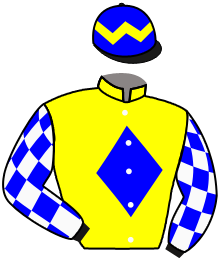 Casaque n°11