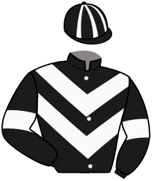 Casaque n°4