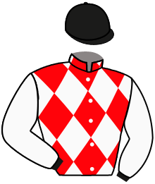 Casaque n°3