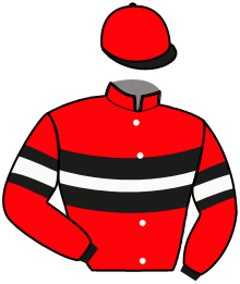 Casaque n°2