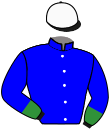 Casaque n°11