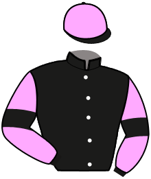 Casaque n°2