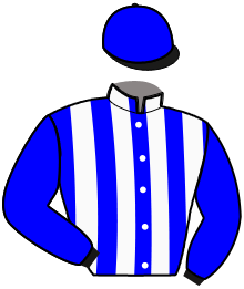 Casaque n°13