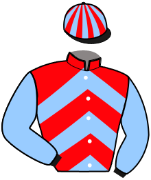 Casaque n°11