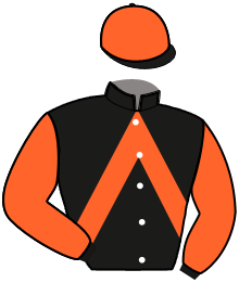 Casaque n°4