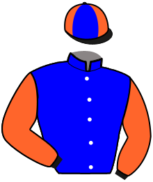 Casaque n°11